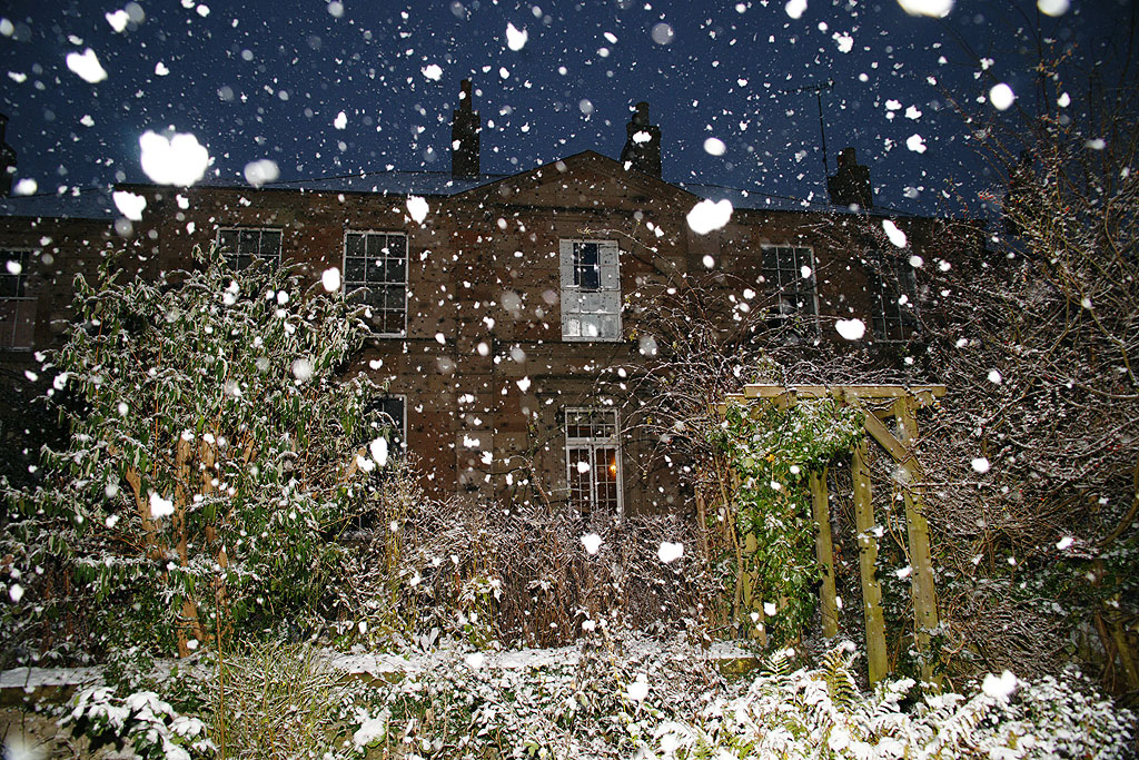 snowdecember19-maxwellplace.jpg