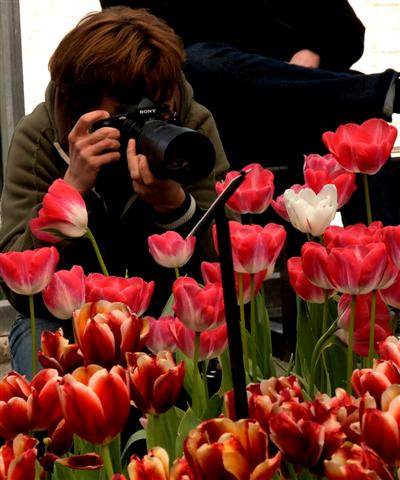 _A900 on Keukenhof (Holland) (-).jpg