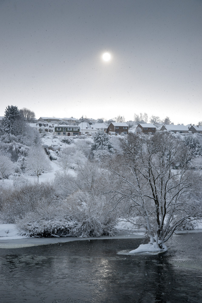 snowykelso-20-pca.jpg