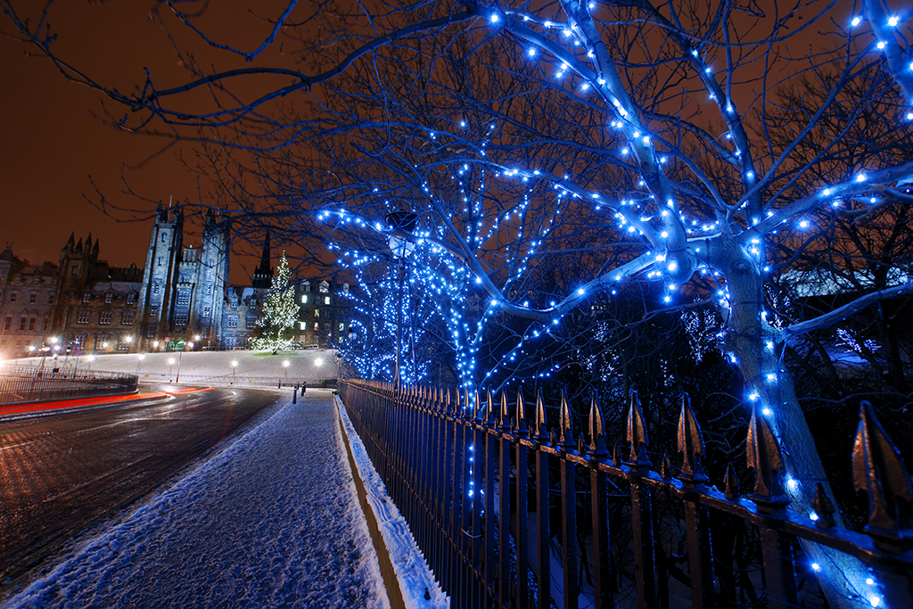 Tree-lights-01-small.jpg