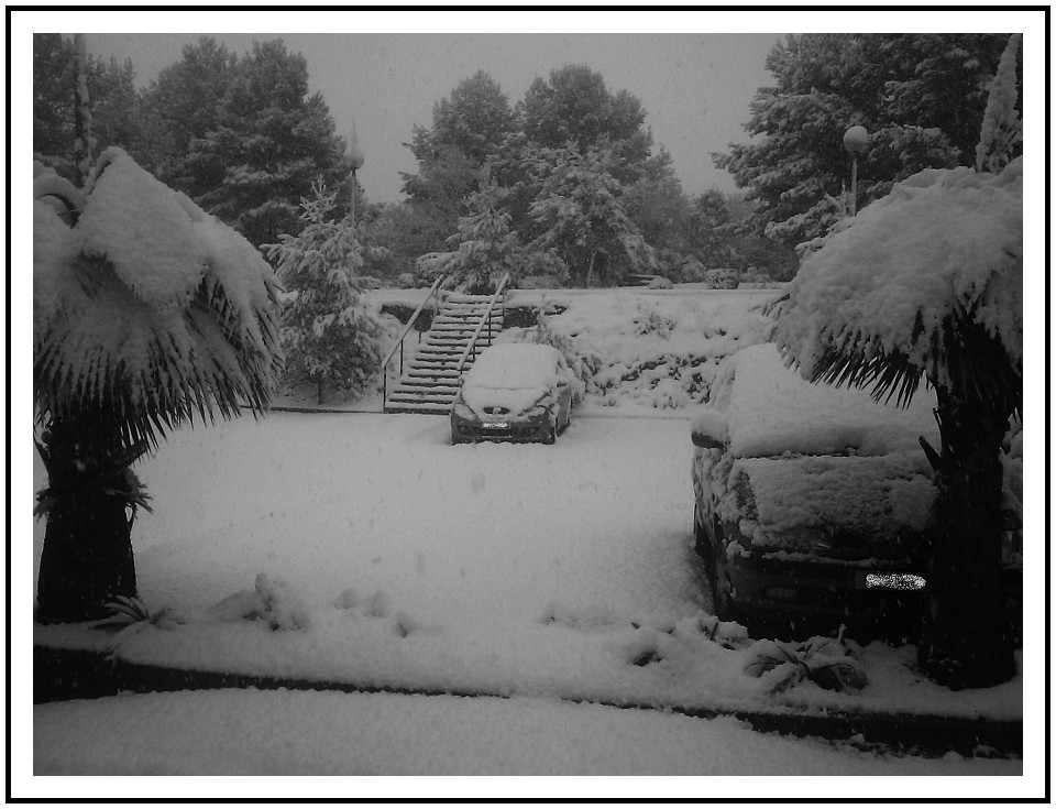 snow1bw.jpg