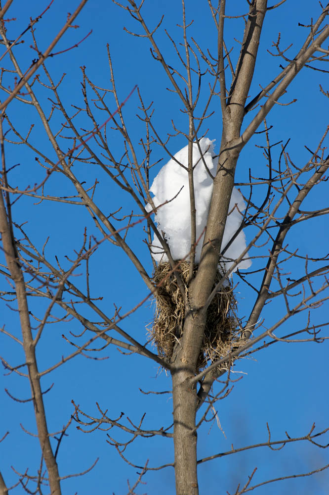 DSC03380_DxO_raw.jpg