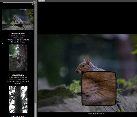 squirrel1600-300mm.jpg (228.77 KiB) Viewed 4869 times squirrel1600-300mm.jpg