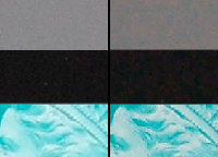 d700a900-iso800dpreview.jpg