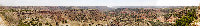 pano.jpg