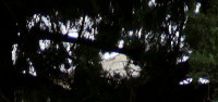 cacorrected28-105f828mm.jpg