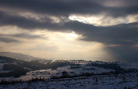 DSC03568_vsmall.jpg