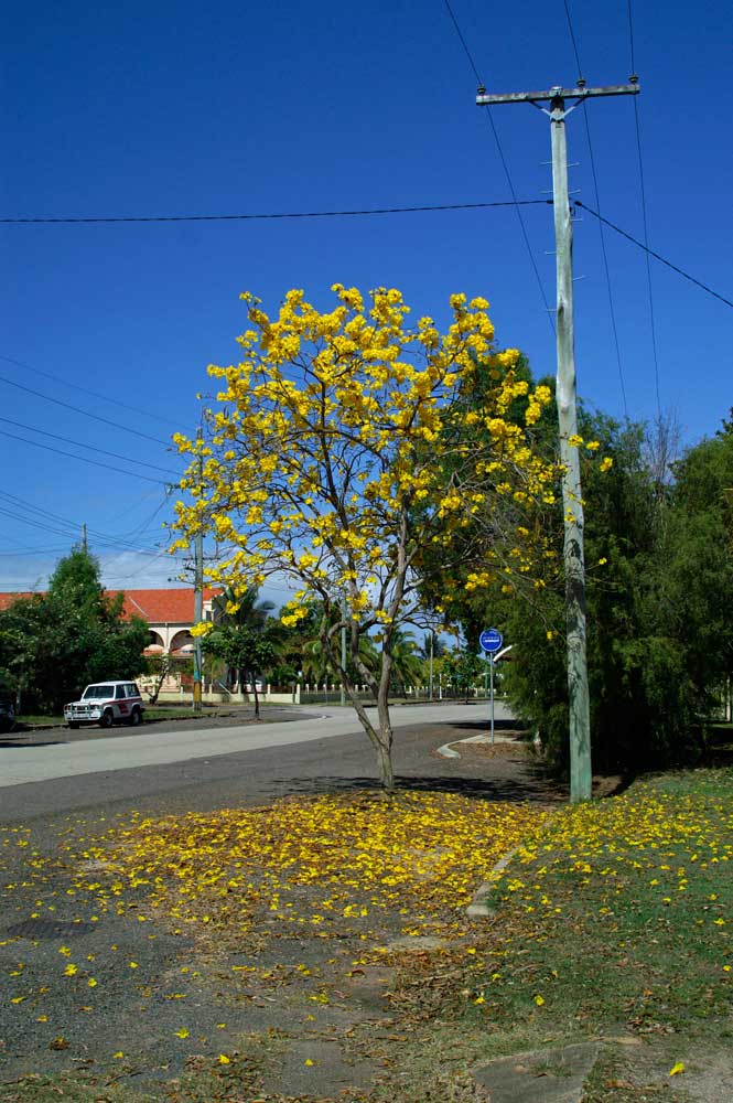 _ICT0830.jpg