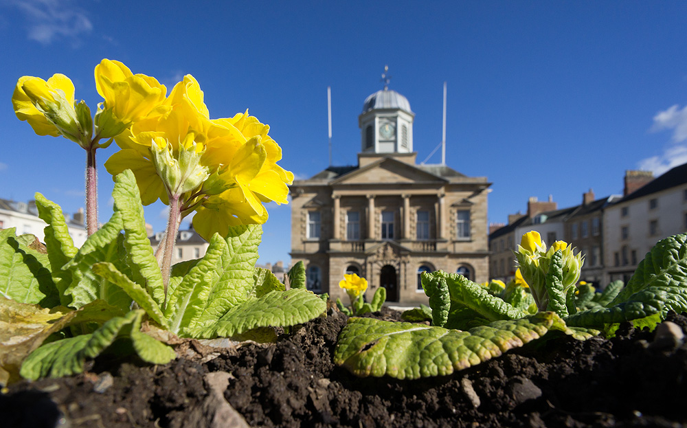 primroseplanterkelso-wide.jpg