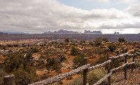 DSC03252-LR2.jpg
