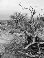 DSC03325-LR2.jpg
