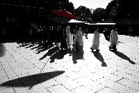 shadow.jpg