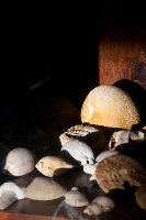 Fossil-Cabinet.jpg