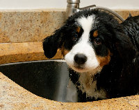 Kitchen Sink.jpg