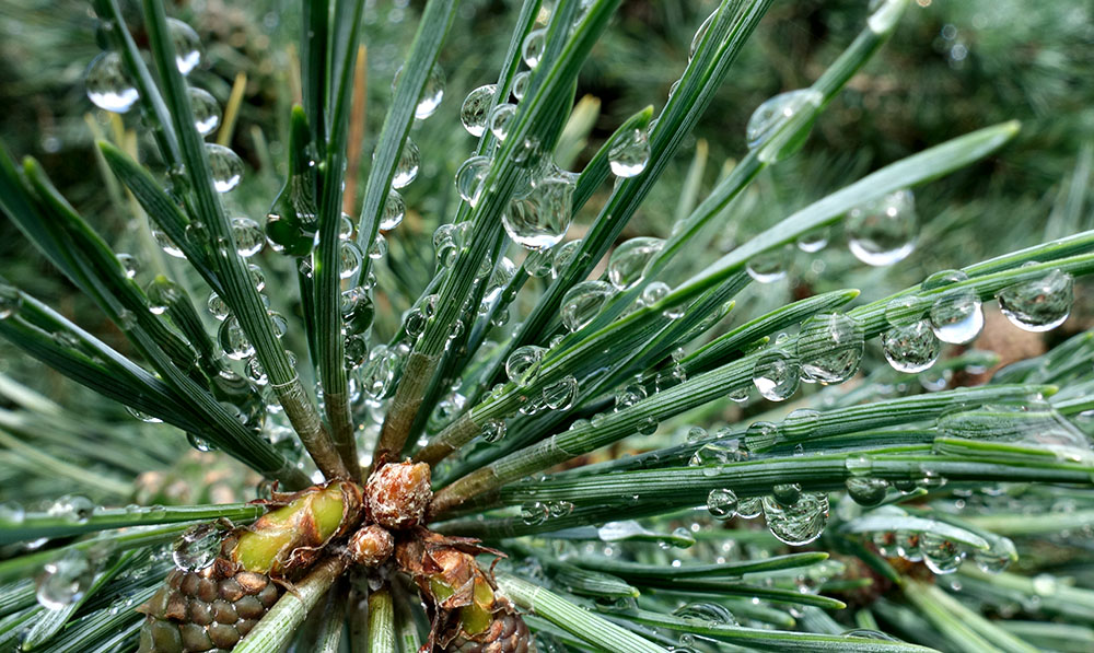 droplets-web.jpg
