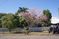 DSC04160.jpg