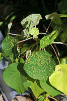 PICT2355.jpg