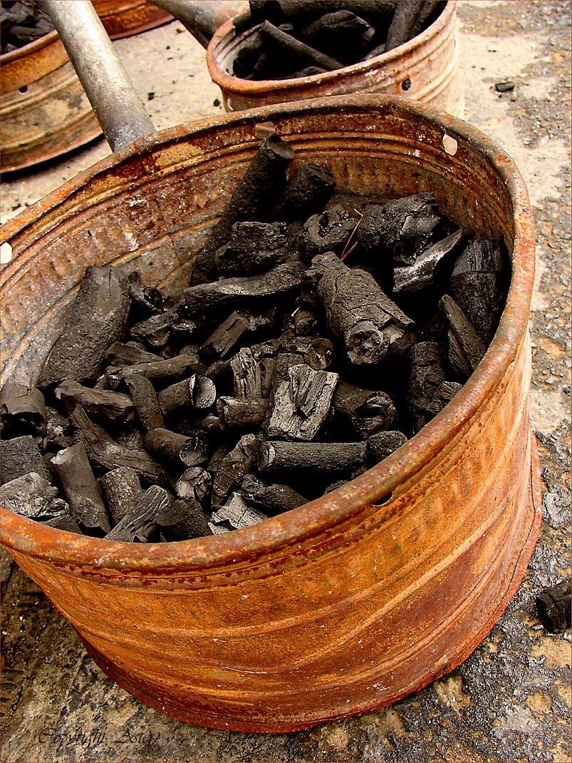 Rusty Coal Bucket - 09Sept. 2007 - 12.28 hrs -DSC V3.jpg
