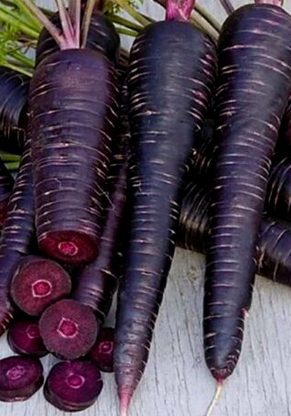 Black Carrots.jpg