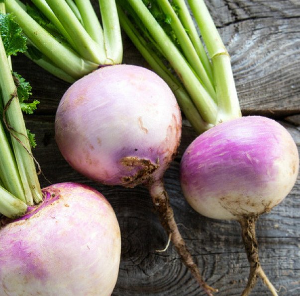 Turnips.jpg