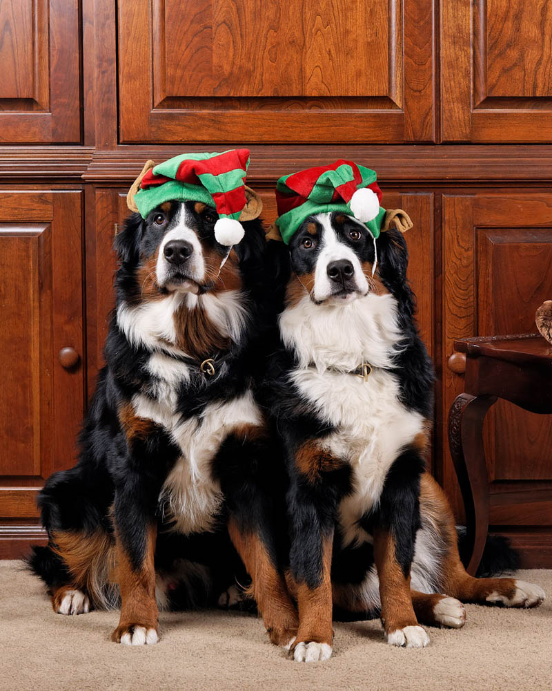 Ho, Ho, Ho.jpg